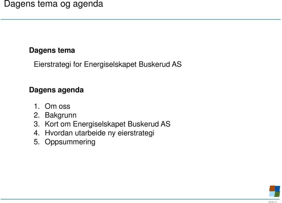 Bakgrunn 3. Kort om Energiselskapet Buskerud AS 4.