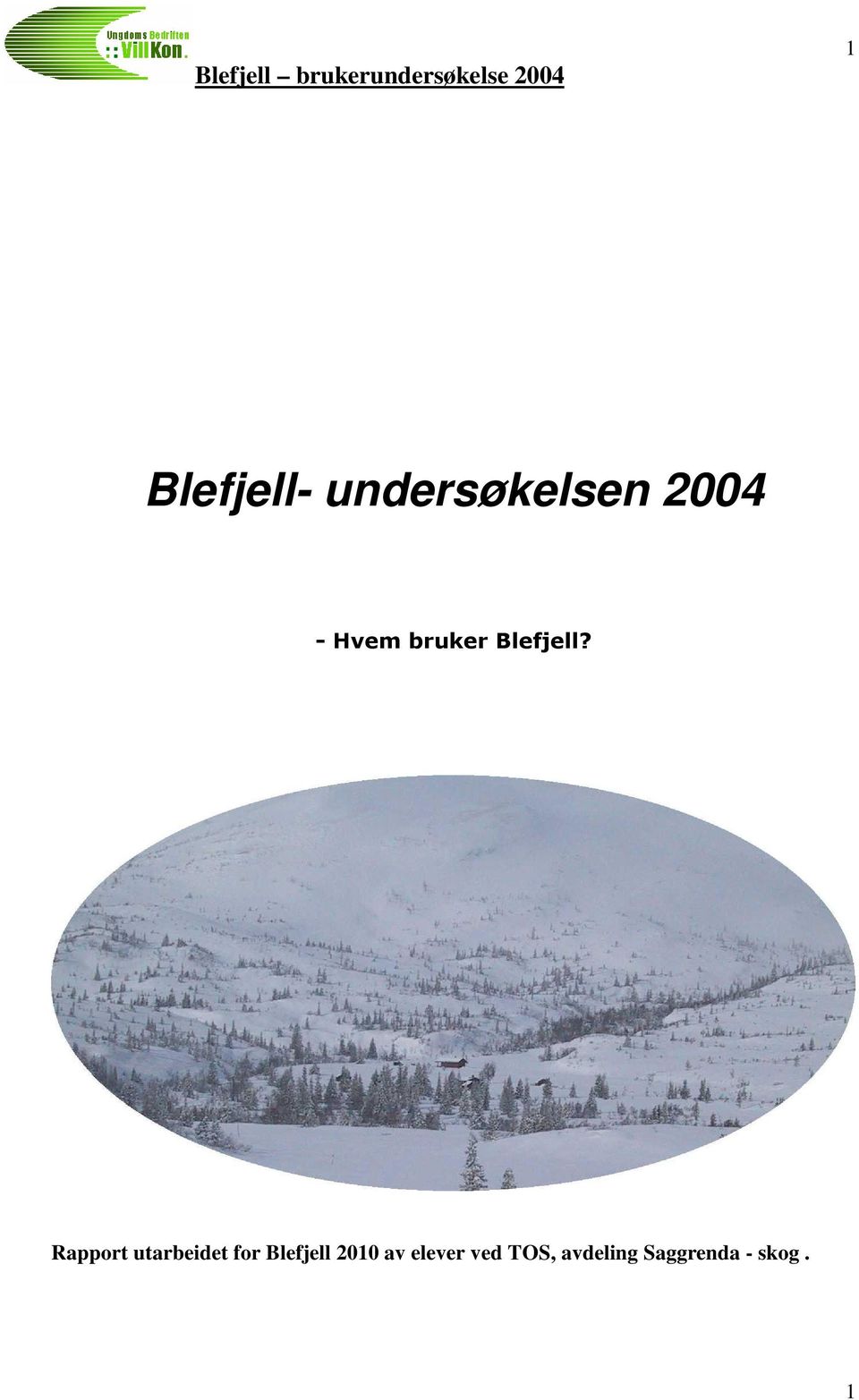 Blefjell 2010 av elever ved