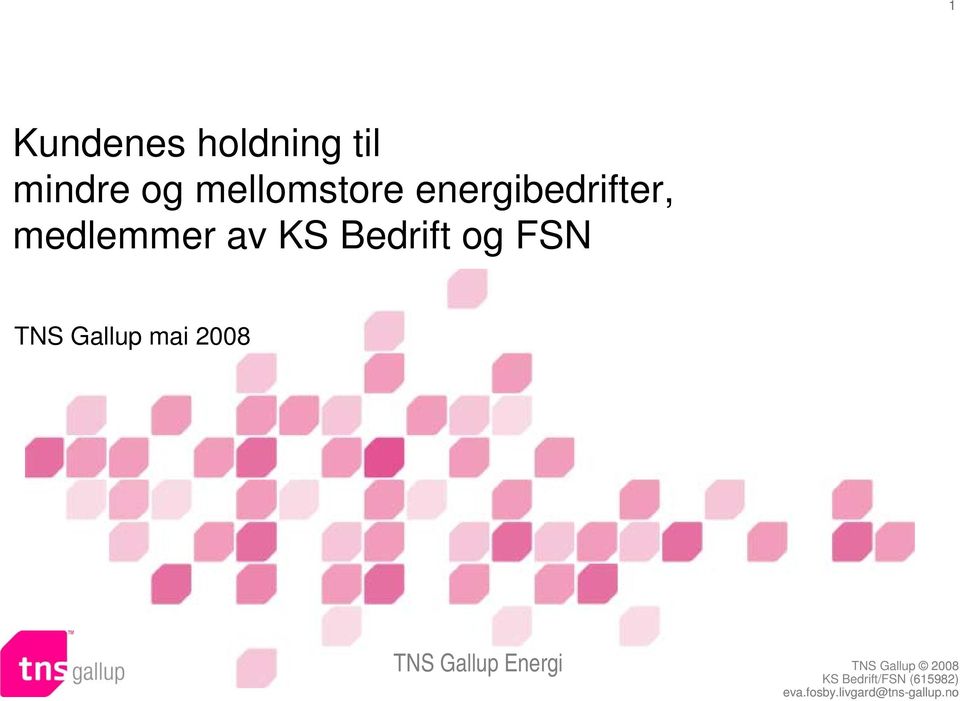 medlemmer av KS Bedrift og FSN