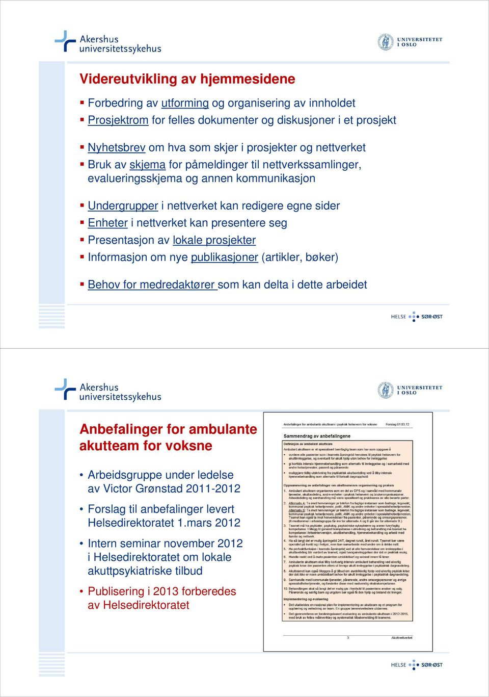 Presentasjon av lokale prosjekter Informasjon om nye publikasjoner (artikler, bøker) Behov for medredaktører som kan delta i dette arbeidet Anbefalinger for ambulante akutteam for voksne