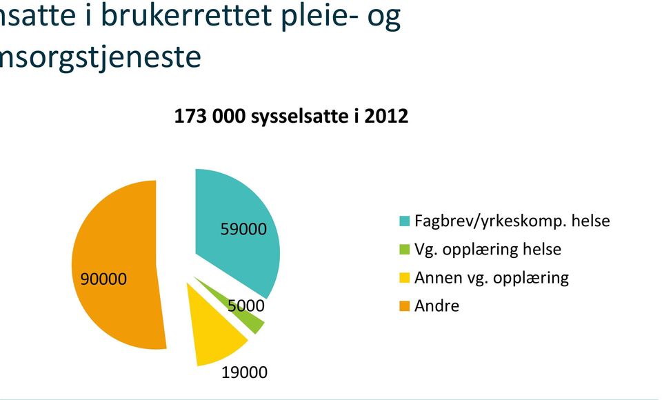 90000 59000 5000 Fagbrev/yrkeskomp.