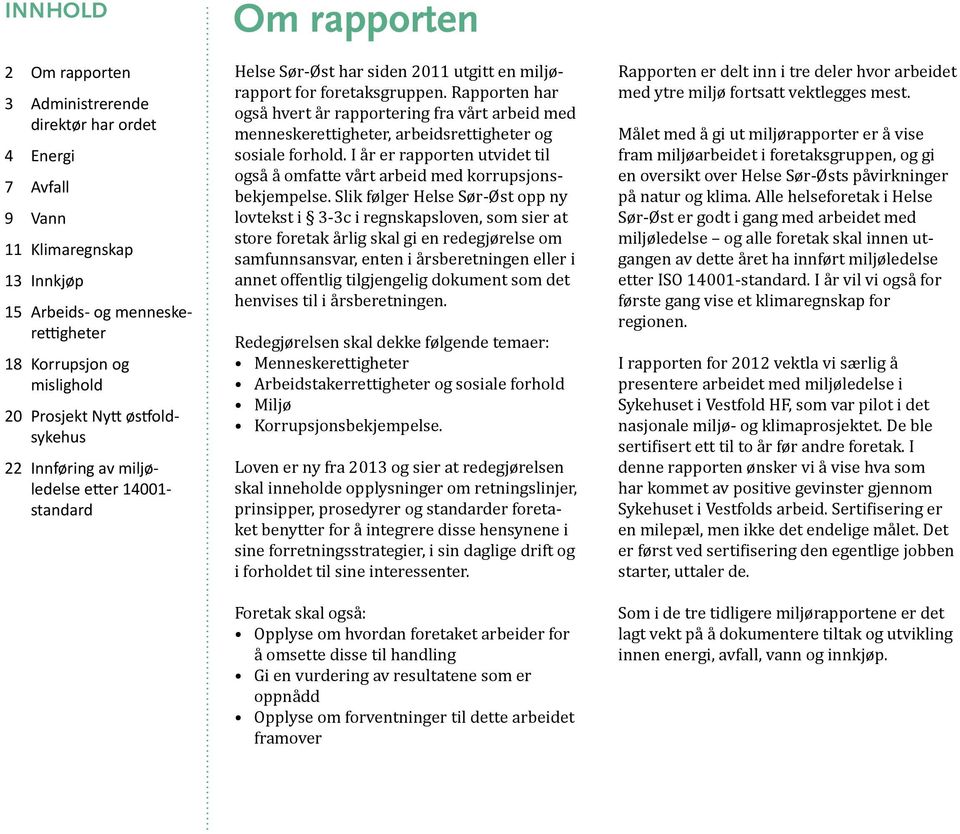 Rapporten har også hvert år rapportering fra vårt arbeid med menneskerettigheter, arbeidsrettigheter og sosiale forhold.