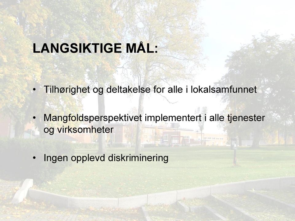 lokalsamfunnet Mangfoldsperspektivet