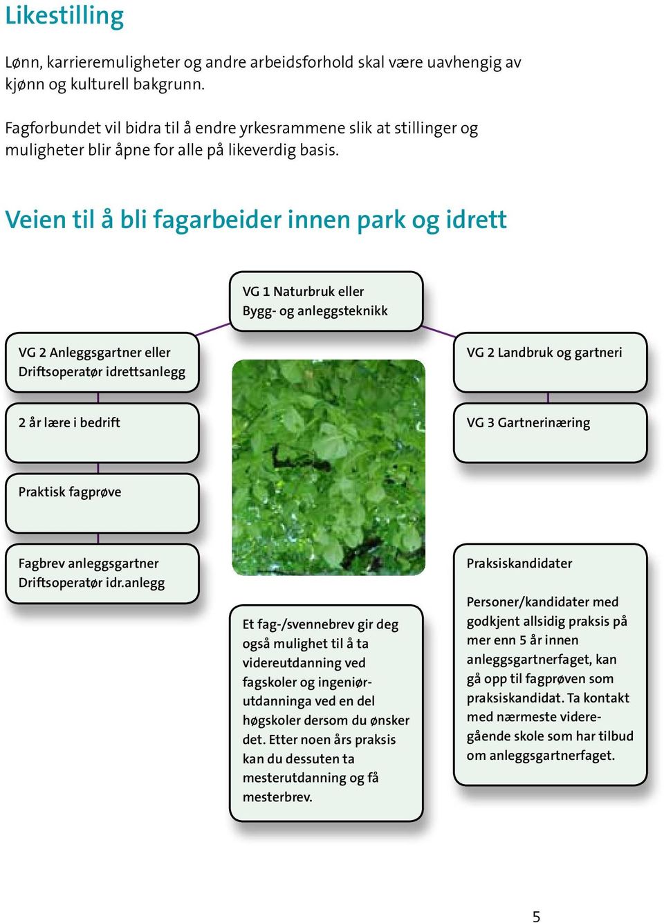 Veien til å bli fagarbeider innen park og idrett VG 1 Naturbruk eller Bygg- og anleggsteknikk VG 2 Anleggsgartner eller Driftsoperatør idrettsanlegg VG 2 Landbruk og gartneri 2 år lære i bedrift VG 3