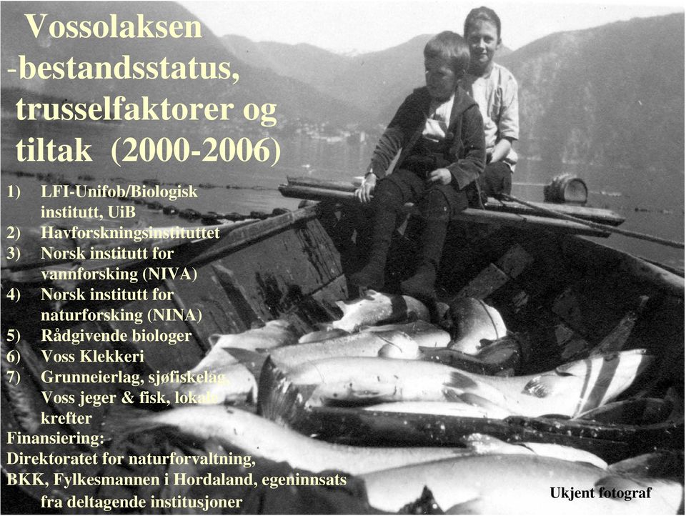 Rådgivende biologer 6) Voss Klekkeri 7) Grunneierlag, sjøfiskelag, Voss jeger & fisk, lokale krefter Finansiering: