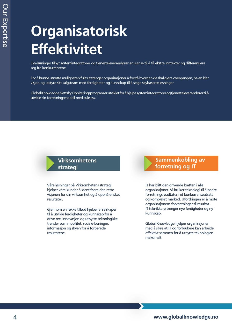 skybaserte-løsninger Nettsky Opplæringsprogram er utviklet for å hjelpe systemintegratorer og tjenesteleverandører til å utvikle sin forretningsmodell med suksess.