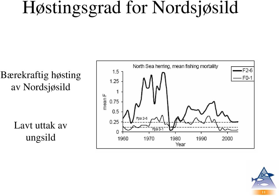 Bærekraftig høsting av