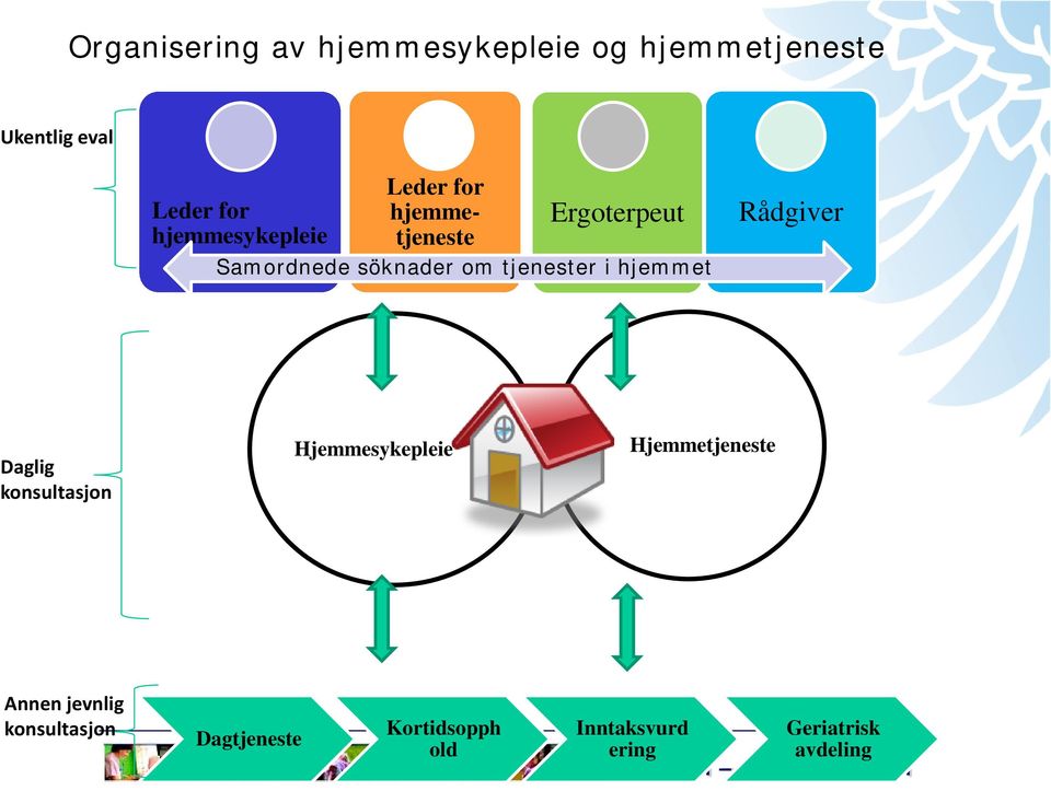 tjenester i hjemmet Rådgiver Daglig konsultasjon Hjemmesykepleie Hjemmetjeneste