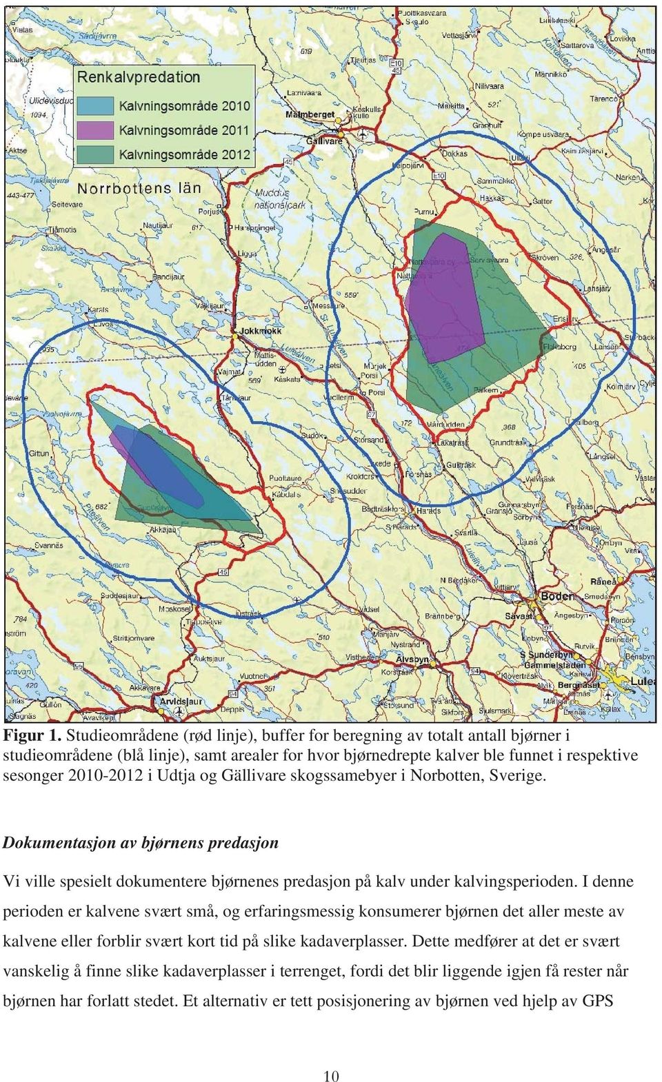 2010-2012 i Udtja og Gällivare skogssamebyer i Norbotten, Sverige. Dokumentasjon av bjørnens predasjon Vi ville spesielt dokumentere bjørnenes predasjon på kalv under kalvingsperioden.