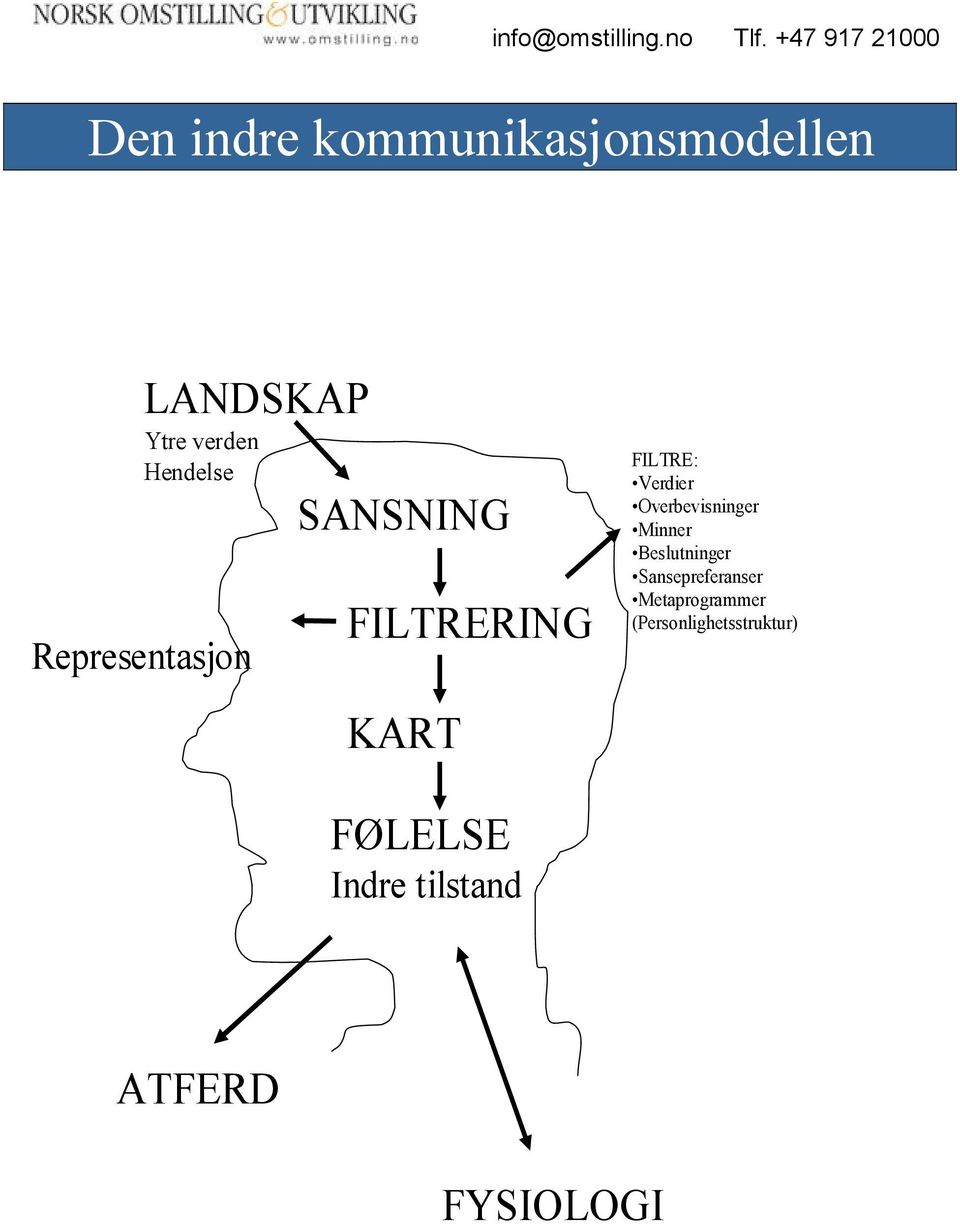 Overbevisninger Minner Beslutninger Sansepreferanser