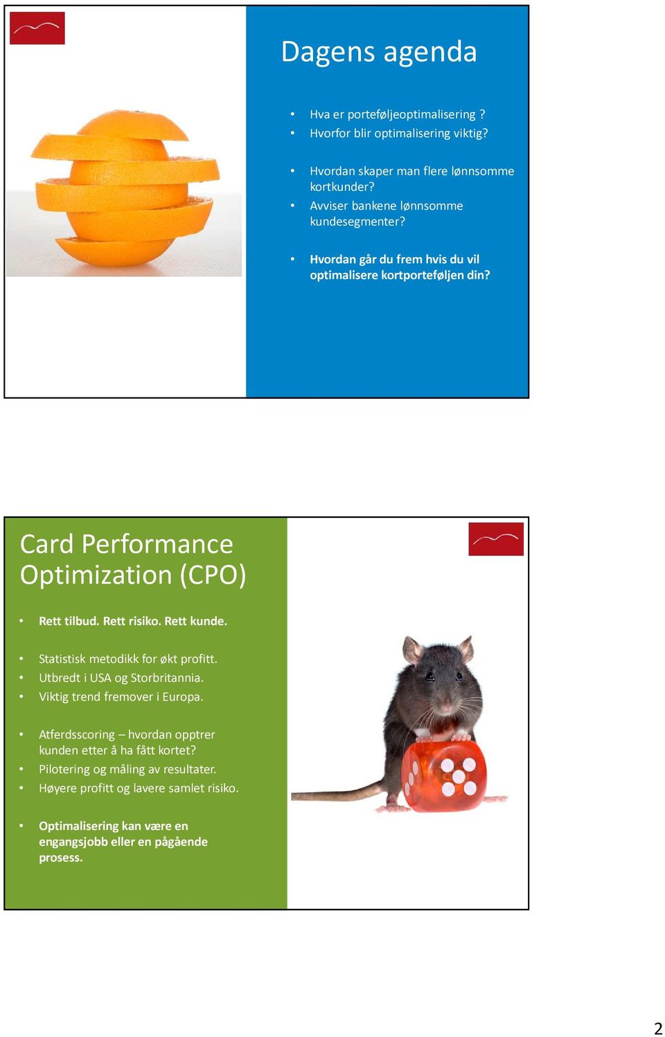 Card Performance Optimization (CPO) Rett tilbud. Rett risiko. Rett kunde. Statistisk metodikk for økt profitt. Utbredt i USA og Storbritannia.