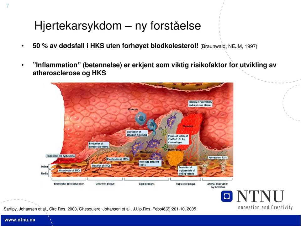 (Braunwald, NEJM, 1997) Inflammation (betennelse) er erkjent som viktig