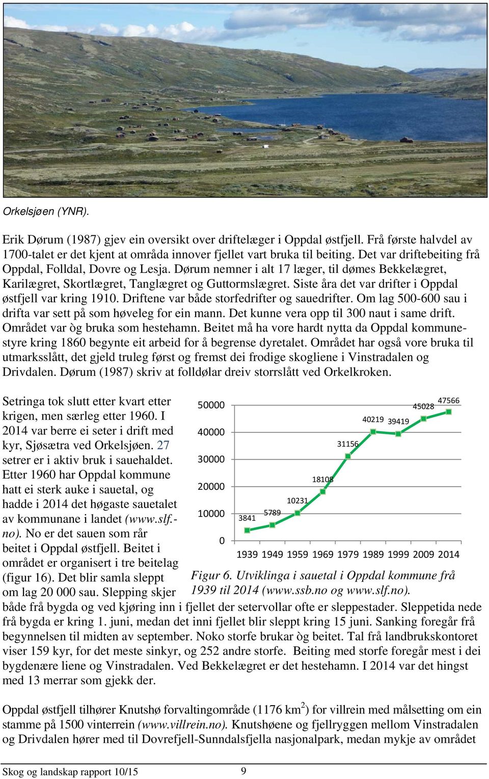 Siste åra det var drifter i Oppdal østfjell var kring 1910. Driftene var både storfedrifter og sauedrifter. Om lag 500-600 sau i drifta var sett på som høveleg for ein mann.
