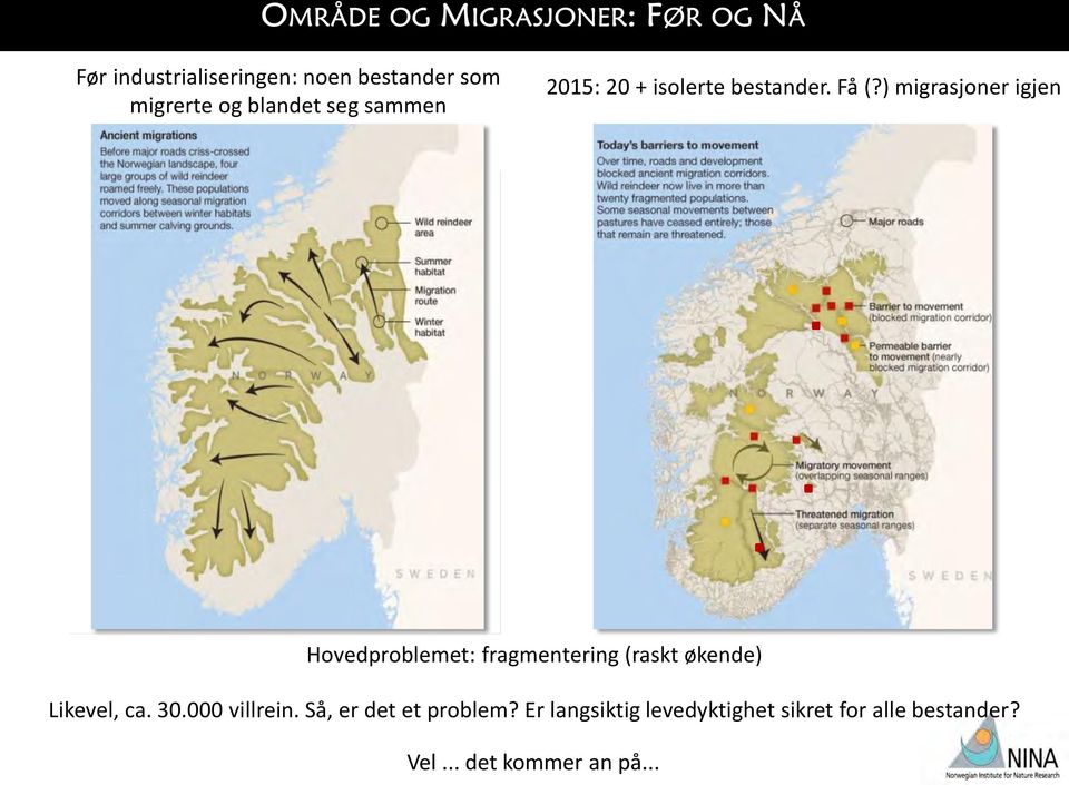 ) migrasjoner igjen Fangstgroper (>8000) Hovedproblemet: fragmentering (raskt