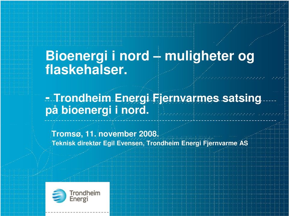 bioenergi i nord. Tromsø, 11. november 2008.