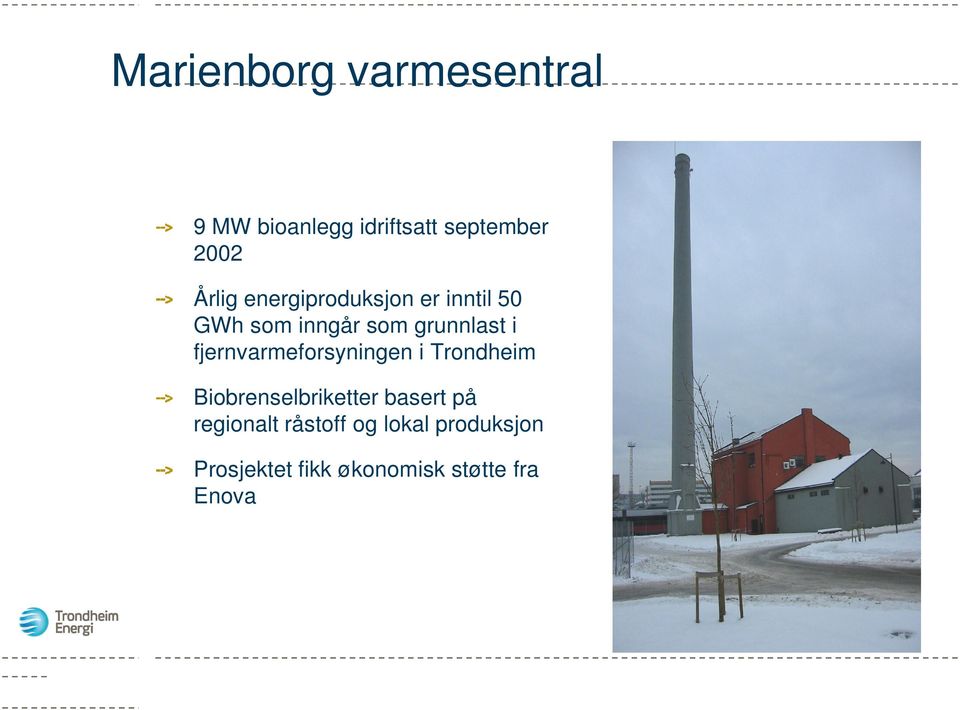 fjernvarmeforsyningen i Trondheim Biobrenselbriketter basert på