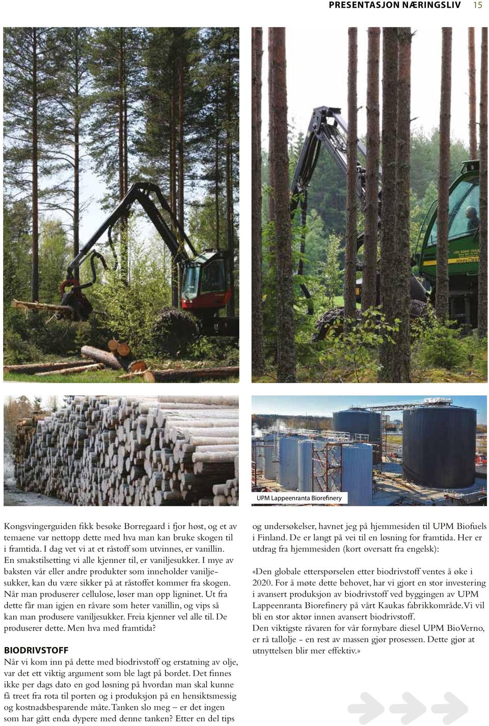 I mye av baksten vår eller andre produkter som inneholder vaniljesukker, kan du være sikker på at råstoffet kommer fra skogen. Når man produserer cellulose, løser man opp ligninet.