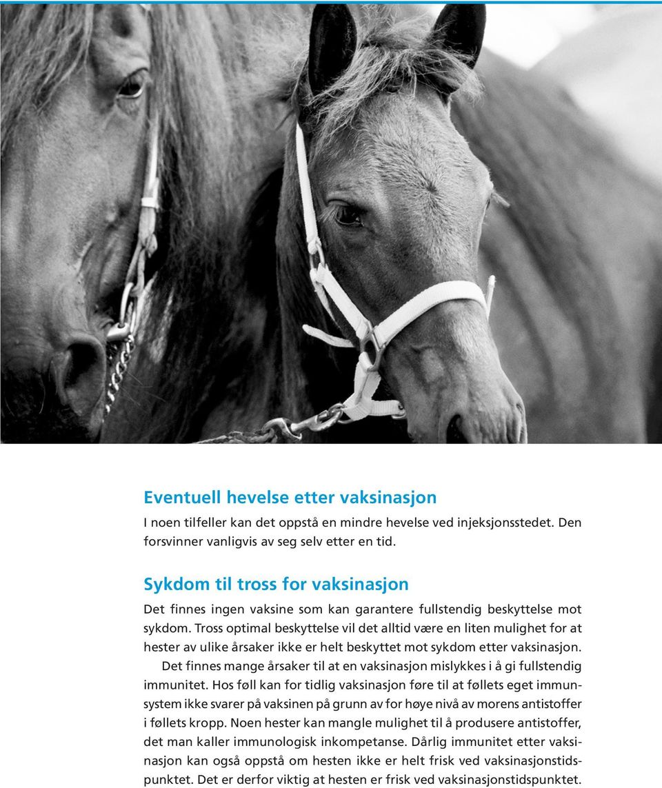Tross optimal beskyttelse vil det alltid være en liten mulighet for at hester av ulike årsaker ikke er helt beskyttet mot sykdom etter vaksinasjon.