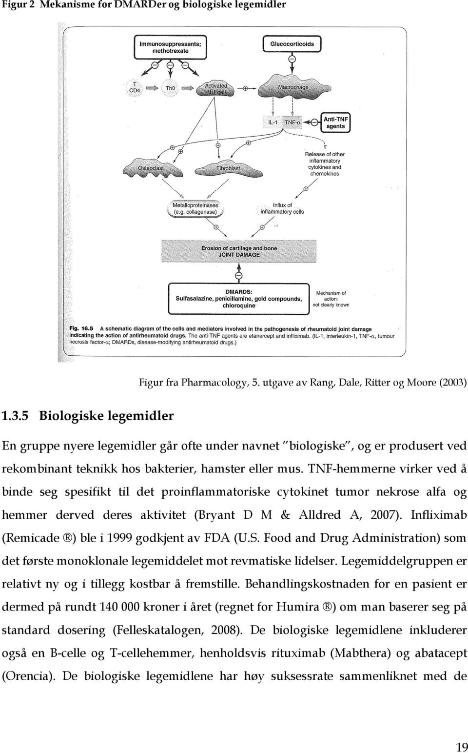 TNF-hemmerne virker ved å binde seg spesifikt til det proinflammatoriske cytokinet tumor nekrose alfa og hemmer derved deres aktivitet (Bryant D M & Alldred A, 2007).