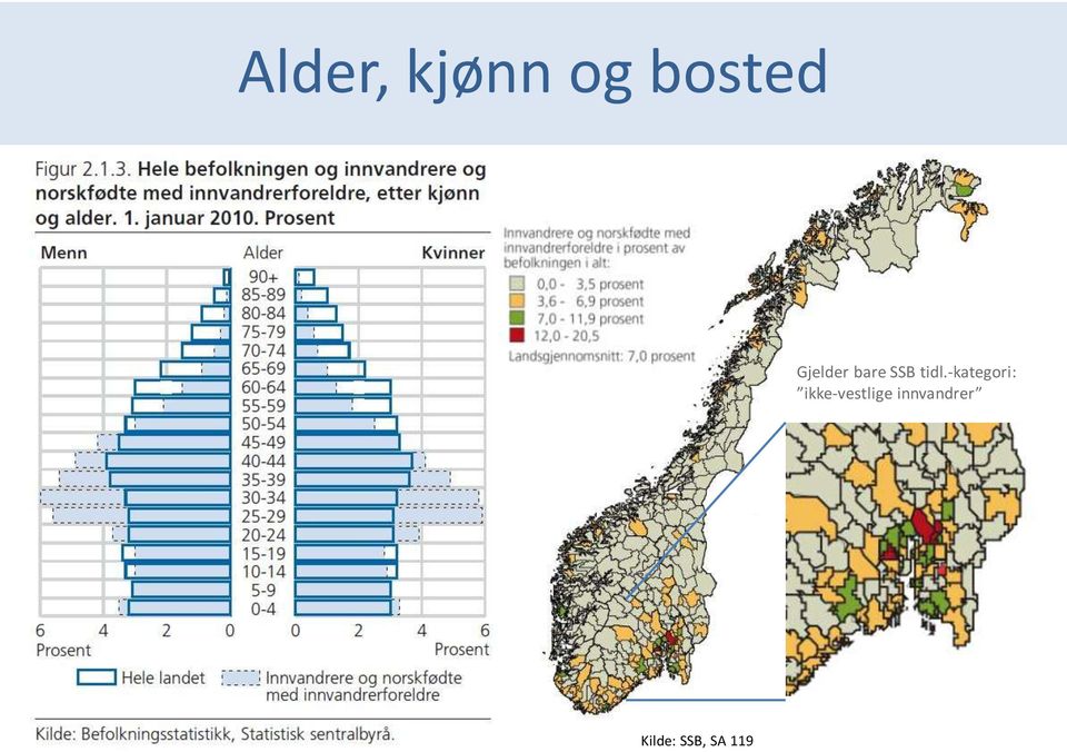 -kategori: ikke-vestlige