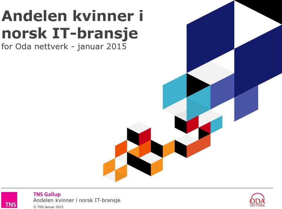 IT-bransje for