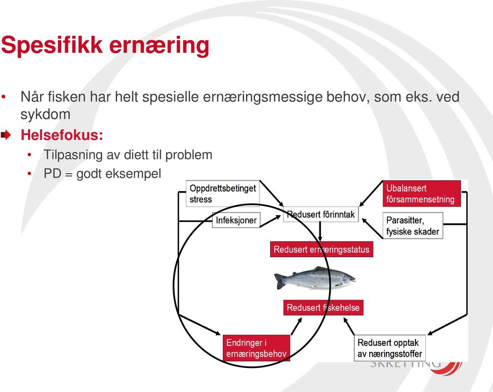 eks. ved sykdom Helsefokus: Tilpasning