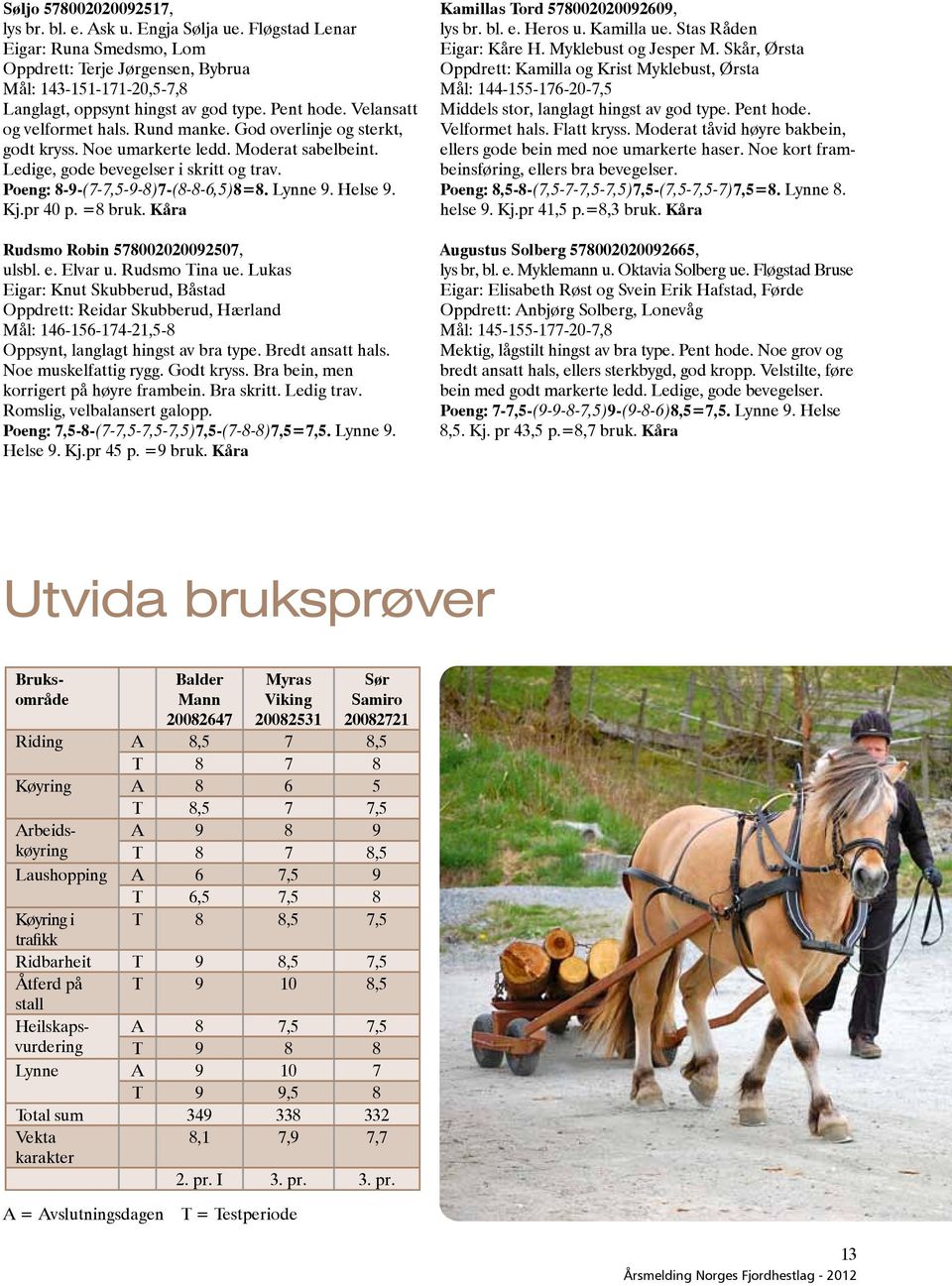 Poeng: 8-9-(7-7,5-9-8)7-(8-8-6,5)8=8. Lynne 9. Helse 9. Kj.pr 40 p. =8 bruk. Kåra Rudsmo Robin 578002020092507, ulsbl. e. Elvar u. Rudsmo Tina ue.