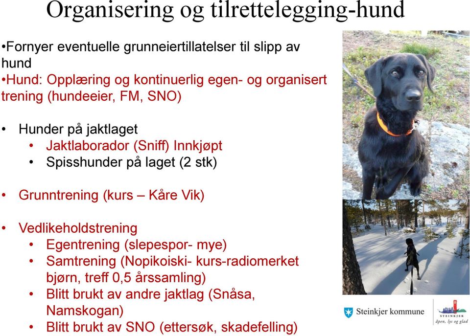 Spisshunder på laget (2 stk) Grunntrening (kurs Kåre Vik) Vedlikeholdstrening Egentrening (slepespor- mye) Samtrening