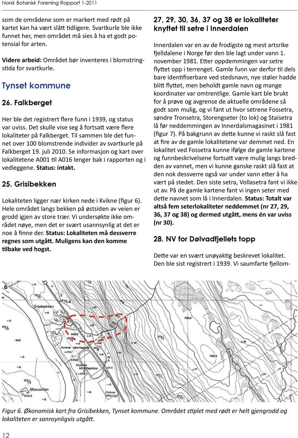 Det skulle vise seg å fortsatt være flere lokaliteter på Falkberget. Til sammen ble det funnet over 100 blomstrende individer av svartkurle på Falkberget 19. juli 2010.