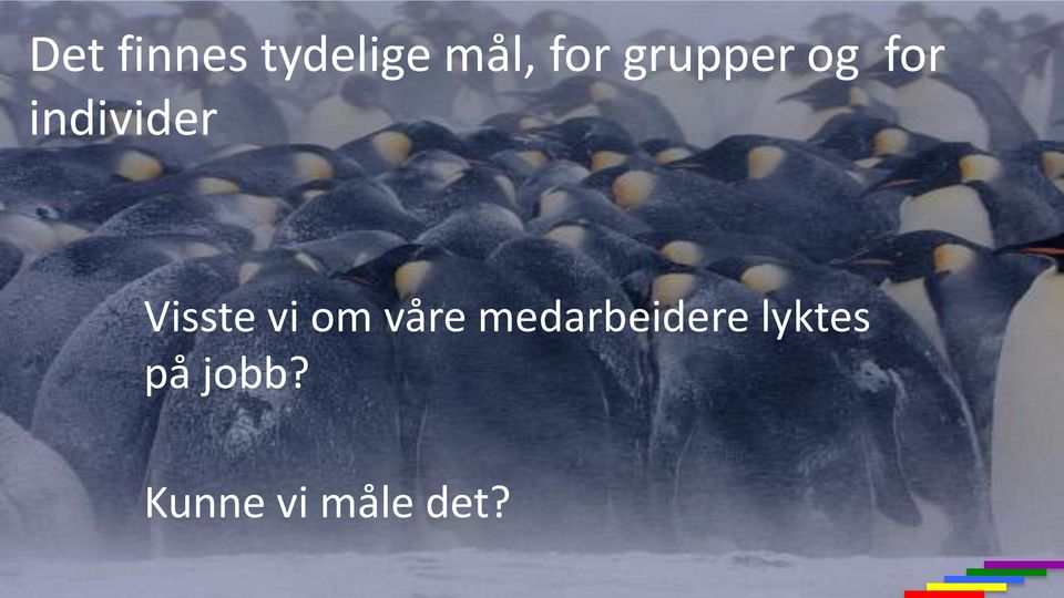 vi om våre medarbeidere lyktes