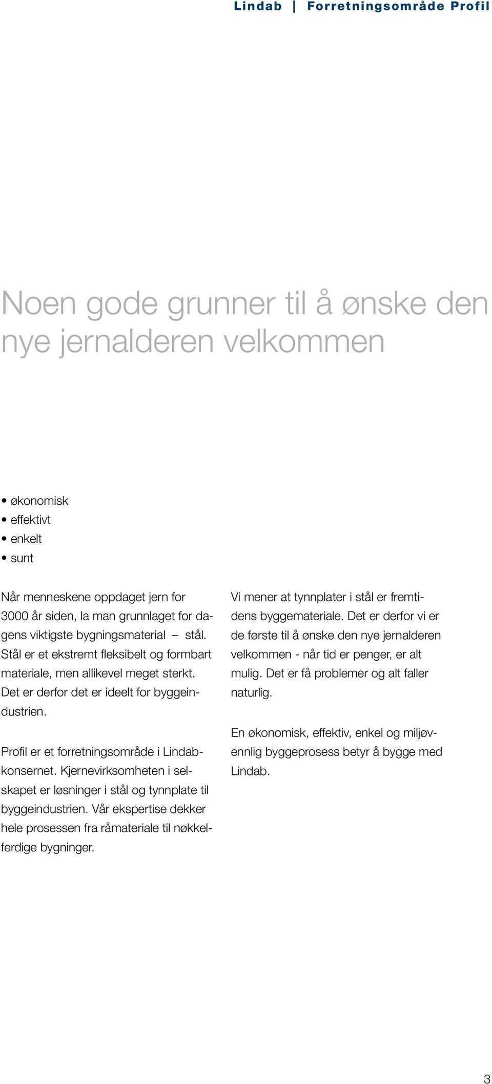 Kjernevirksomheten i selskapet er løsninger i stål og tynnplate til byggeindustrien. Vår ekspertise dekker hele prosessen fra råmateriale til nøkkelferdige bygninger.