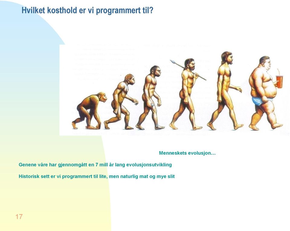 evolusjonsutvikling Historisk sett er vi