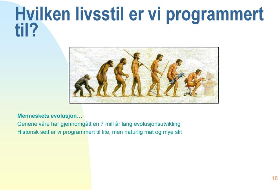 en 7 mill år lang evolusjonsutvikling Historisk