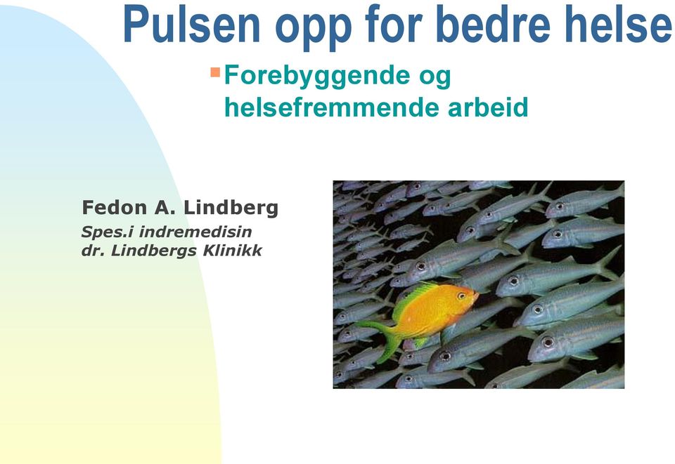 arbeid Fedon A. Lindberg Spes.