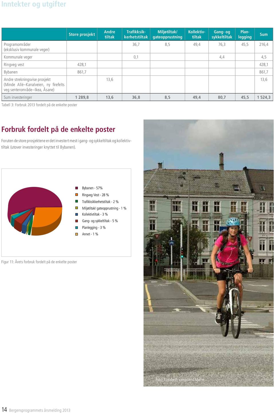 13,6 13,6 Sum investeringer 1 289,8 13,6 36,8 8,5 49,4 80,7 45,5 1 524,3 Tabell 3: Forbruk 2013 fordelt på de enkelte poster Forbruk fordelt på de enkelte poster Foruten de store prosjektene er det