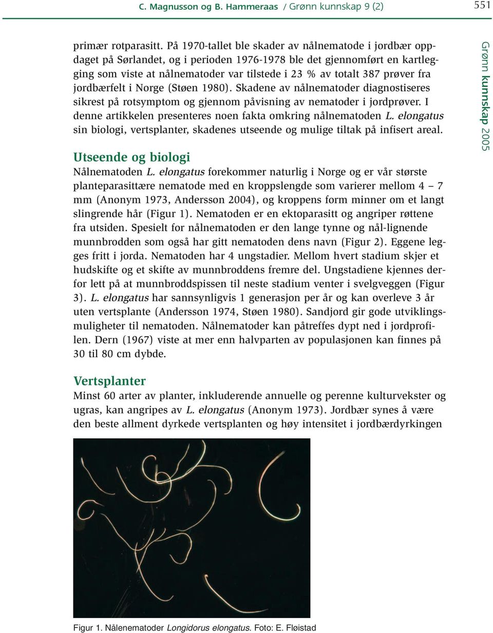 fra jordbærfelt i Norge (Støen 1980). Skadene av nålnematoder diagnostiseres sikrest på rotsymptom og gjennom påvisning av nematoder i jordprøver.