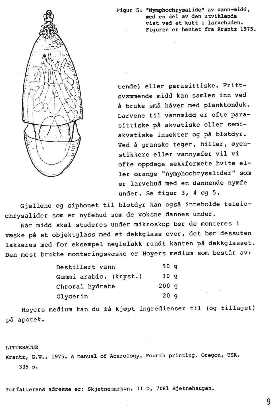 Ved d granske teger, biller, ayen- stikkere eller vannymfer vil vi of te oppdage sekkformete hvite eller orange "nymphochrysalider" som er larvehud med en dannende nymfe under. Se figur 3, 4 og 5.