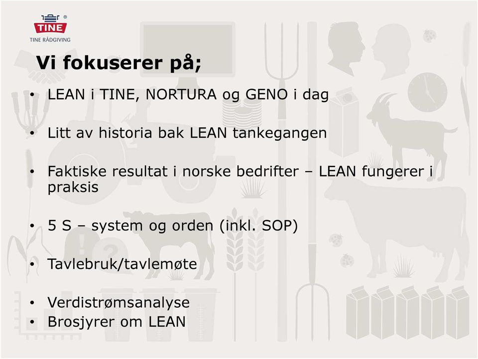 bedrifter LEAN fungerer i praksis 5 S system og orden (inkl.