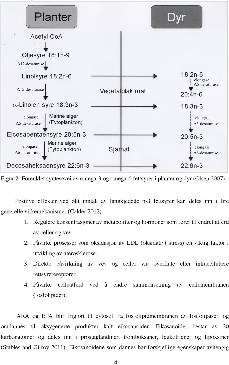 Regulere konsentrasjoner av metabolitter og hormoner som fører til endret atferd av celler og vev. 2.