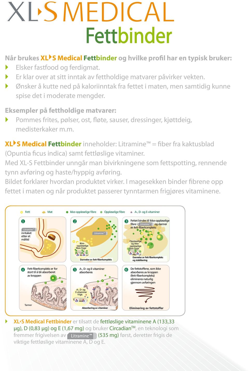 Eksempler på fettholdige matvarer: Pommes frites, pølser, ost, fløte, sauser, dressinger, kjøttdeig, medisterkaker m.m. XL S Medical Fettbinder inneholder: Litramine = fiber fra kaktusblad (Opuntia ficus indica) samt fettløslige vitaminer.