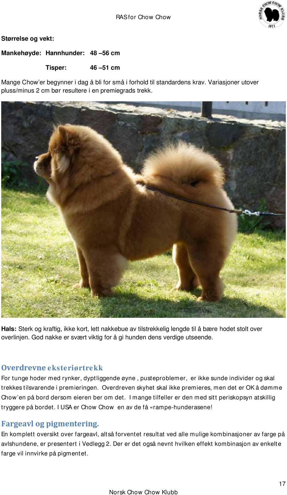 God nakke er svært viktig for å gi hunden dens verdige utseende.