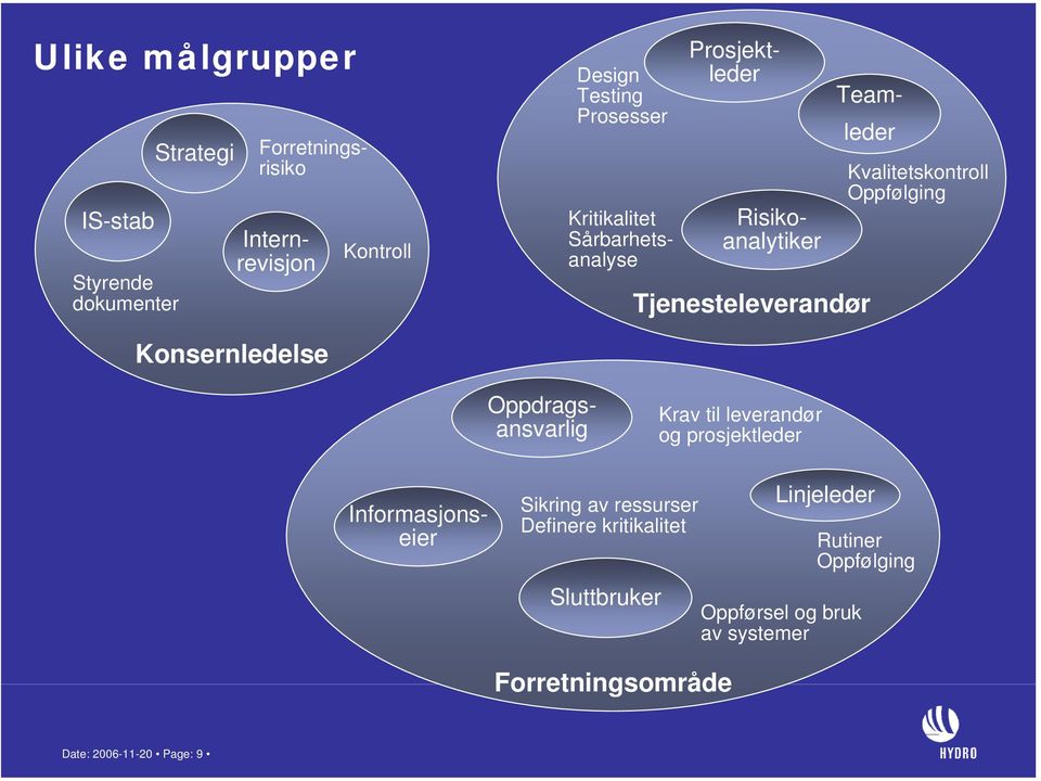 Prosjektleder Teamleder Internrevisjon Forretningsrisiko Krav til leverandør og prosjektleder Sikring av ressurser