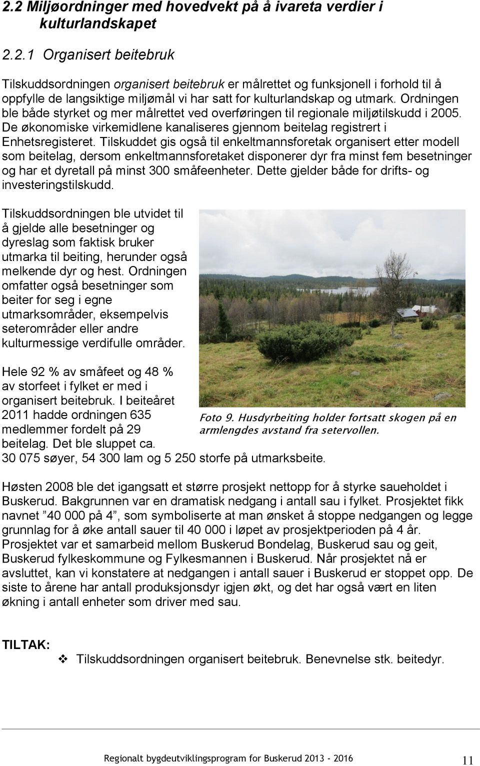 Tilskuddet gis også til enkeltmannsforetak organisert etter modell som beitelag, dersom enkeltmannsforetaket disponerer dyr fra minst fem besetninger og har et dyretall på minst 300 småfeenheter.