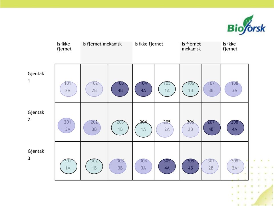 1A 1B 3B 3A Gjentak 2 201 202 203 204 205 206 207 208 3A 3B 1B 1A 2A 2B