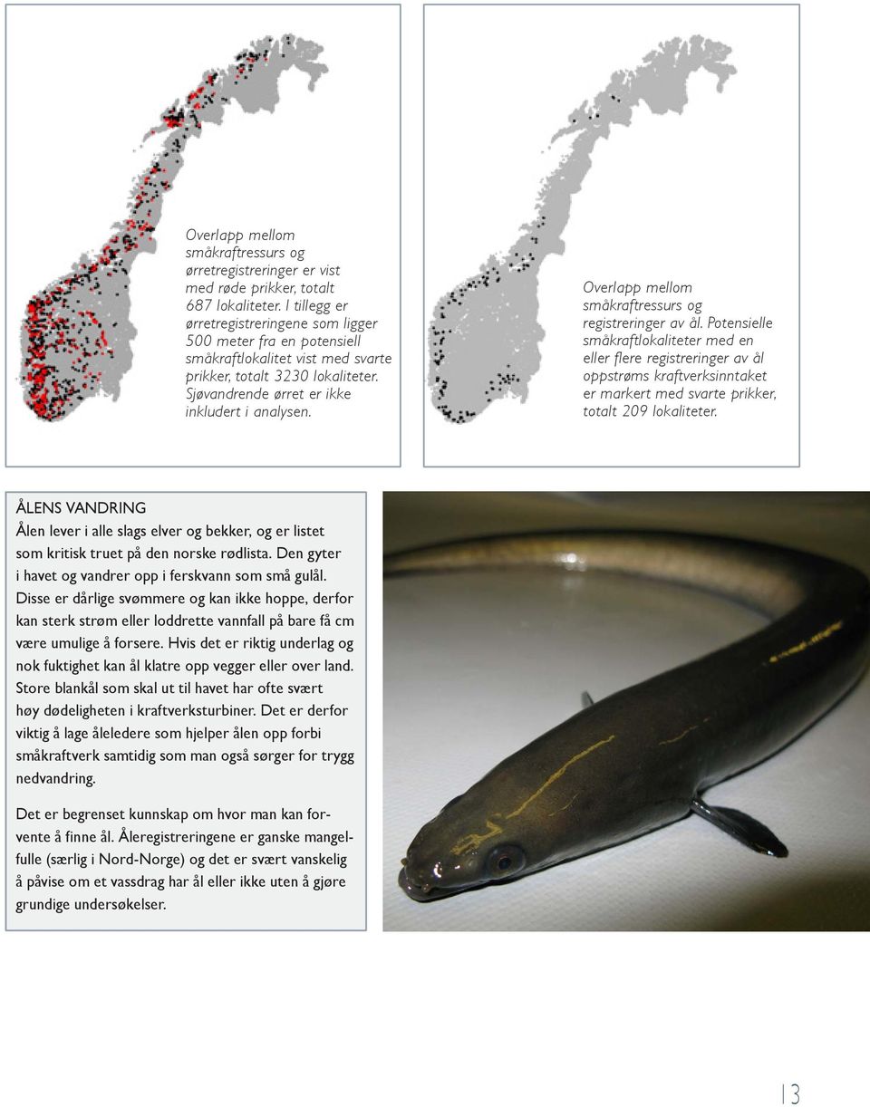 Overlapp mellom småkraftressurs og registreringer av ål.