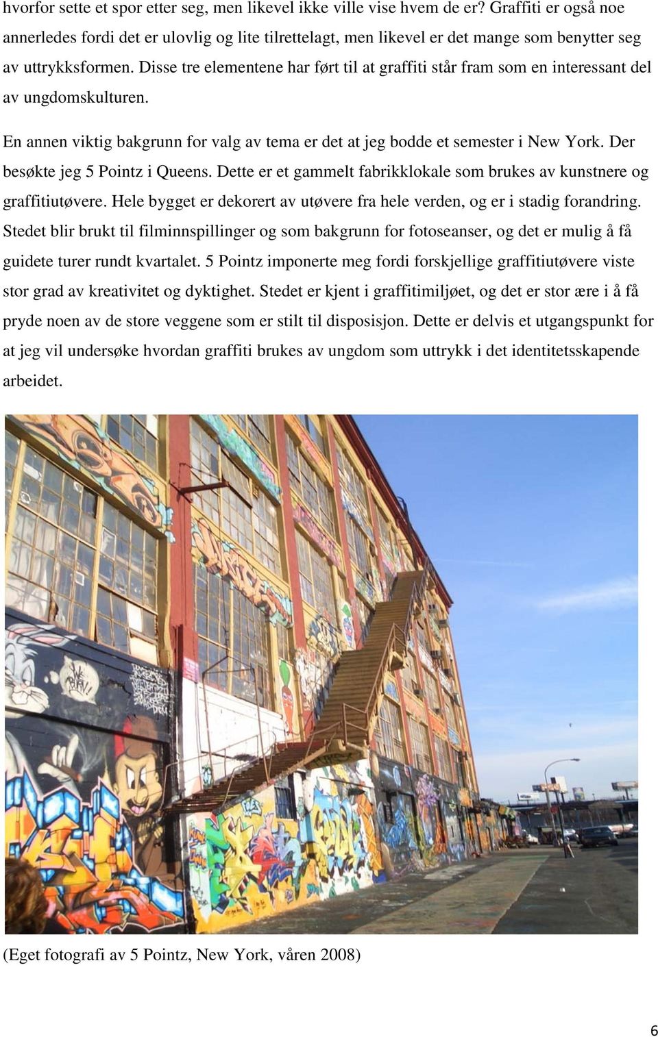 Disse tre elementene har ført til at graffiti står fram som en interessant del av ungdomskulturen. En annen viktig bakgrunn for valg av tema er det at jeg bodde et semester i New York.