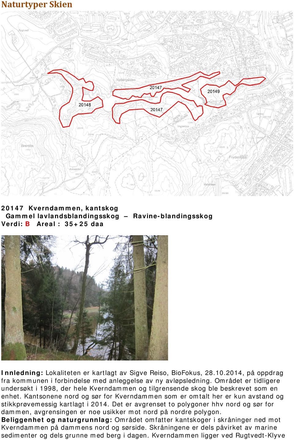 Kantsonene nord og sør for Kverndammen som er omtalt her er kun avstand og stikkprøvemessig kartlagt i 2014.