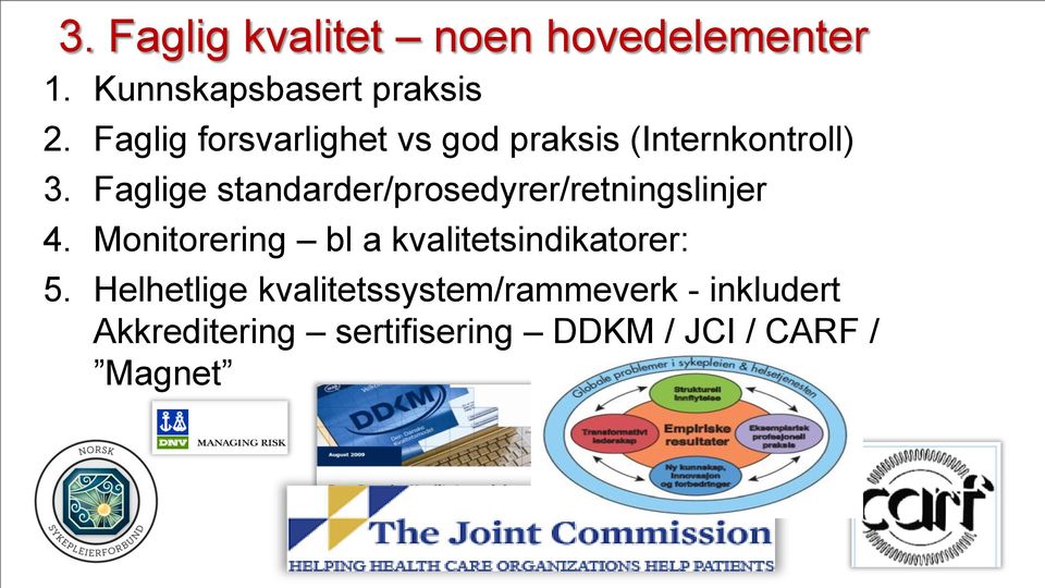 Faglige standarder/prosedyrer/retningslinjer 4.