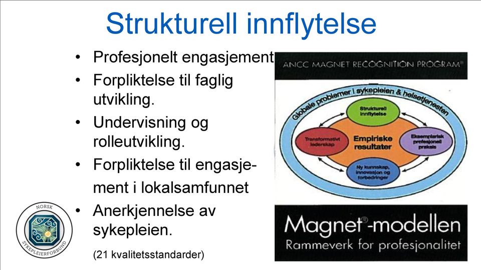 Undervisning og rolleutvikling.