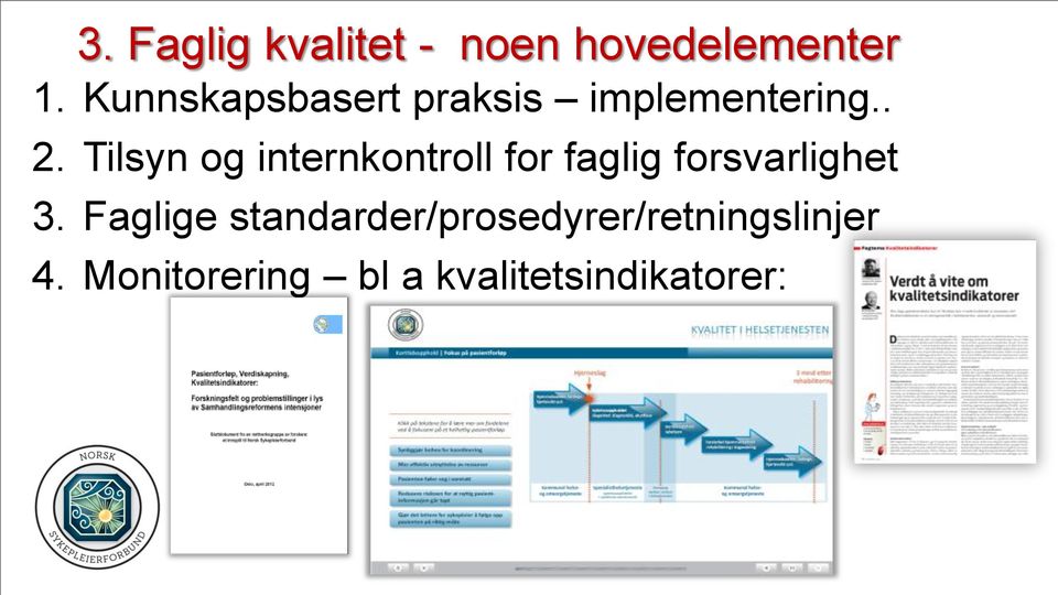 Tilsyn og internkontroll for faglig forsvarlighet 3.